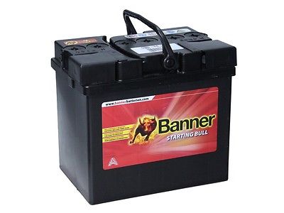 Banner 53034 Caterham Lawnmower Battery-0